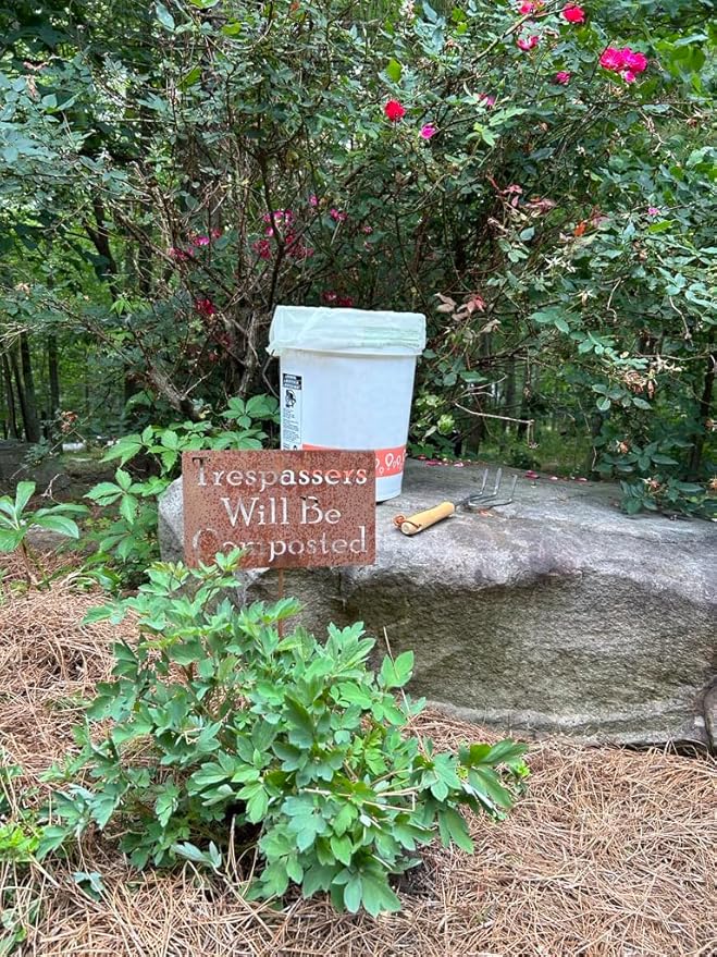 6-8 Gallon Compostable Trash Bags by BioBag, 45 Count, BPI Certified, Meets ASTM D6400 Standards, Made in USA, Medium Kitchen Bin Liners